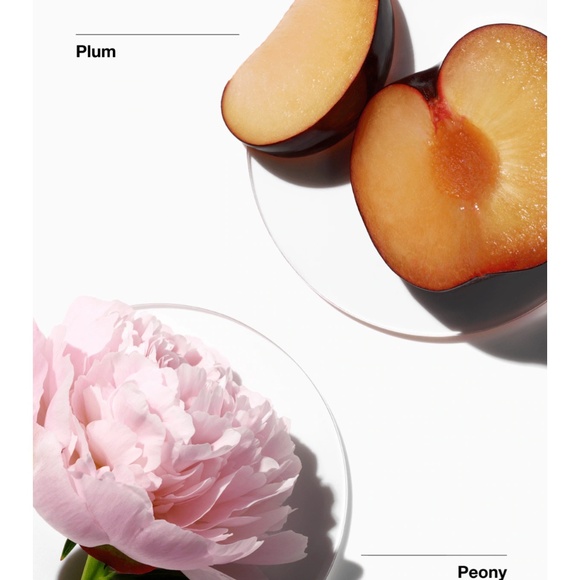 New Clinique My Happy Peony Picinic Fragrance 15 ml bottle Floral Feminine Scent - Picture 7 of 14